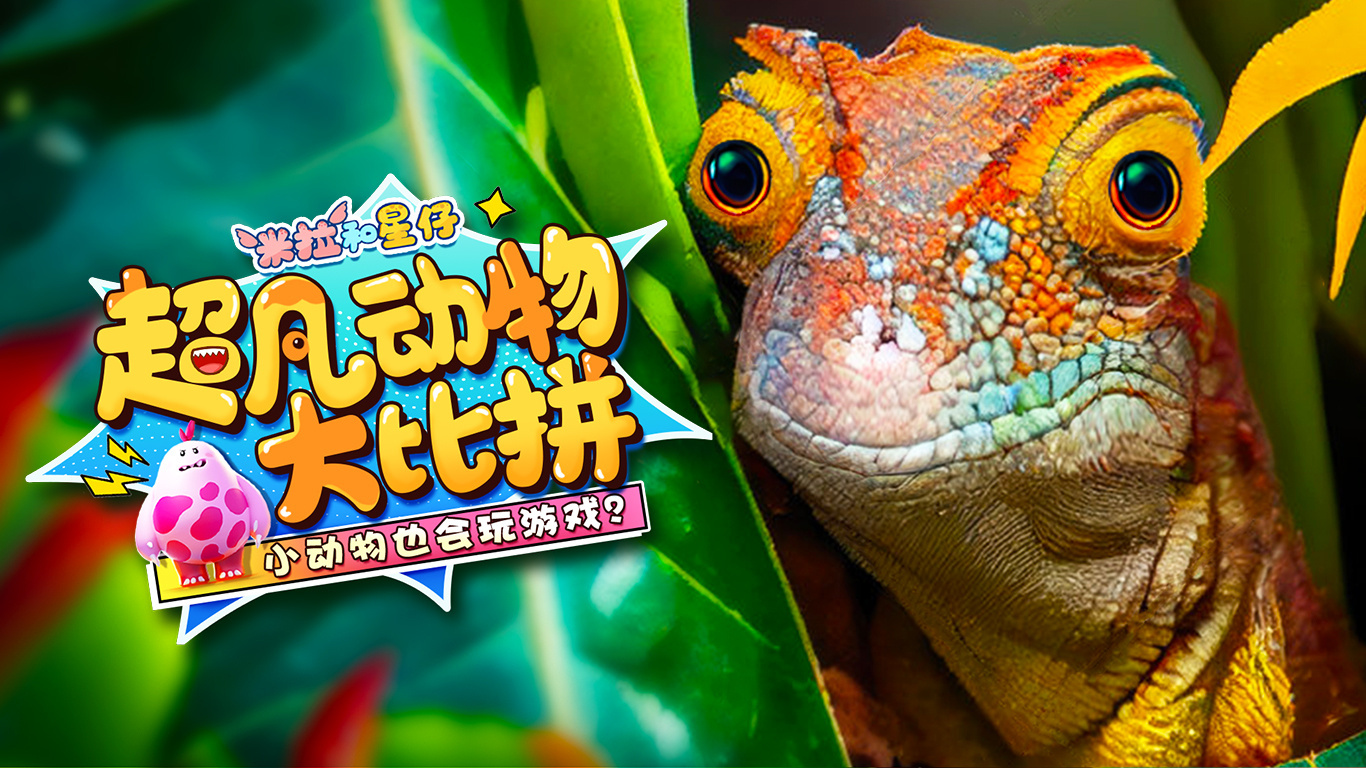 得胜扩音器