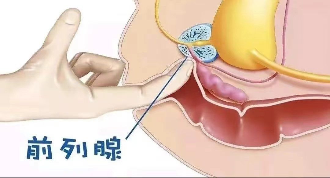 有关部门透露,北京家庭式抓龙筋哪家好?专业推荐与预约指南