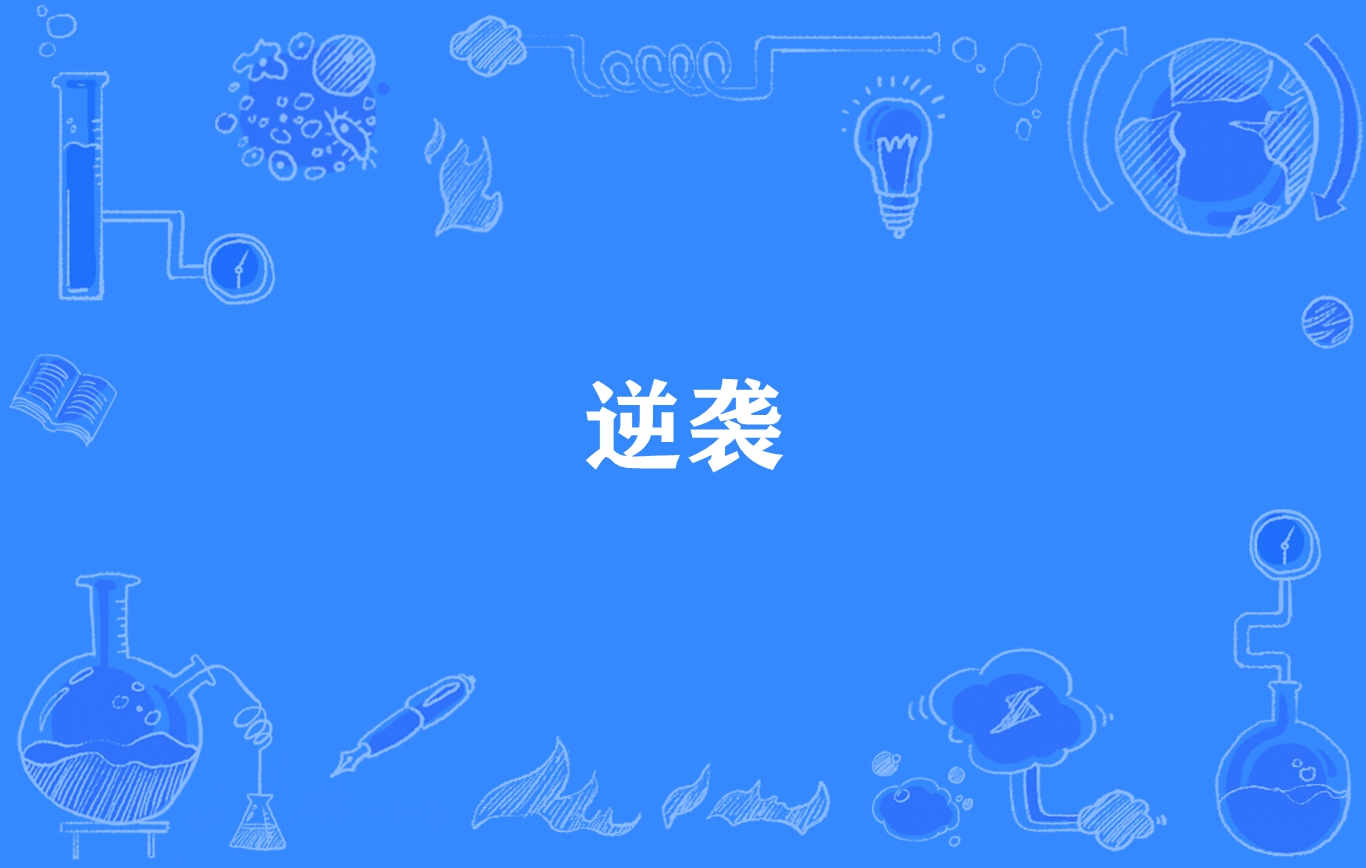 企业专注的案例