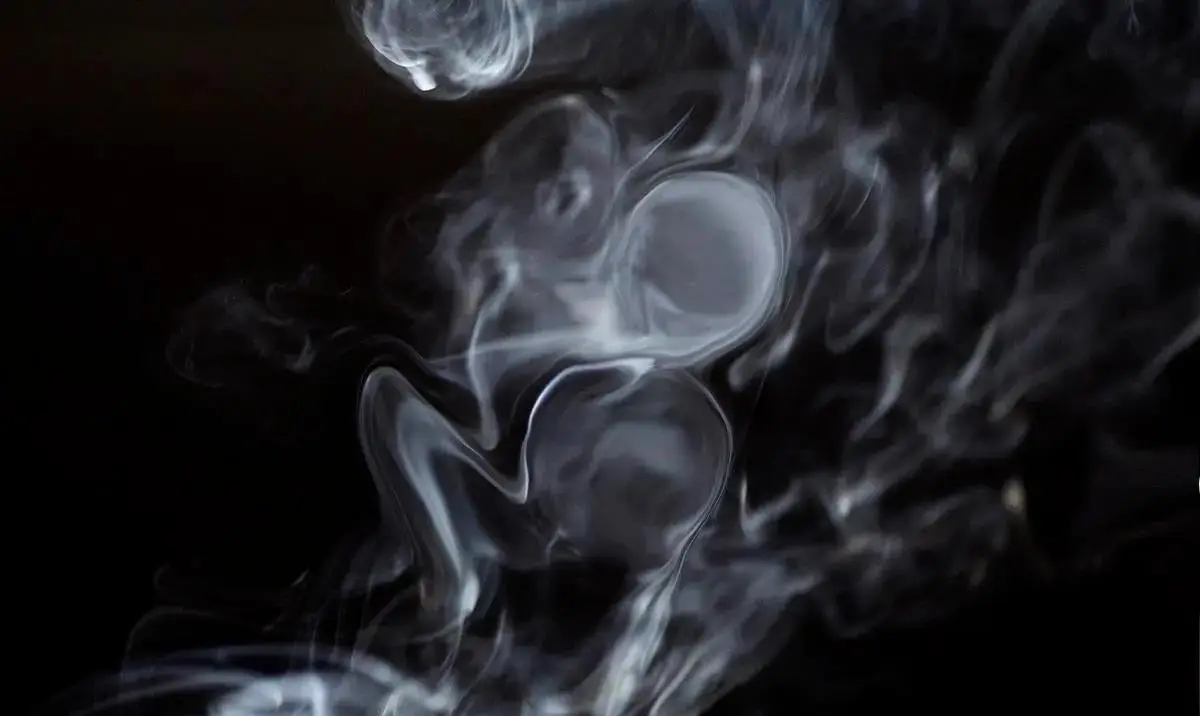 人类友谊已被科学证明？...