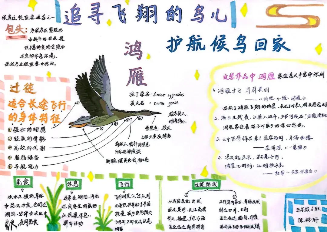 村上春树文学创作 父亲侵华战争经历的影响