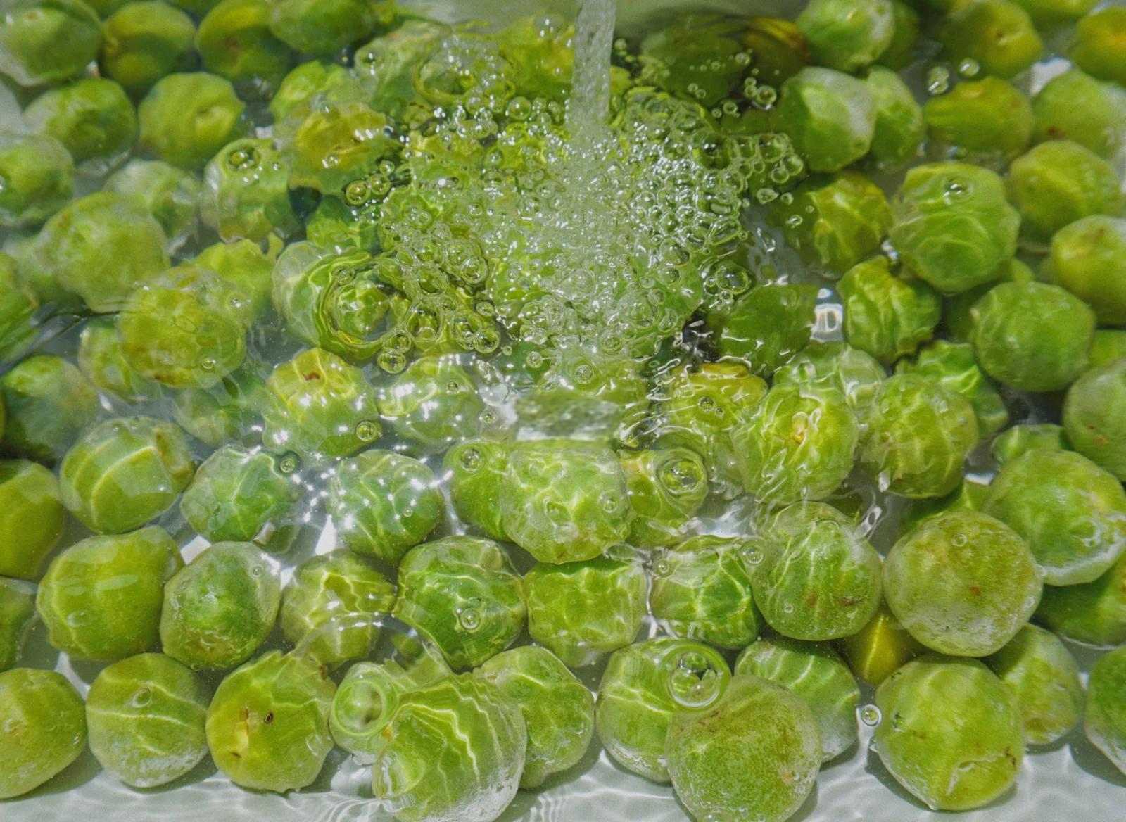 金银花的功效与作用泡水喝的功效