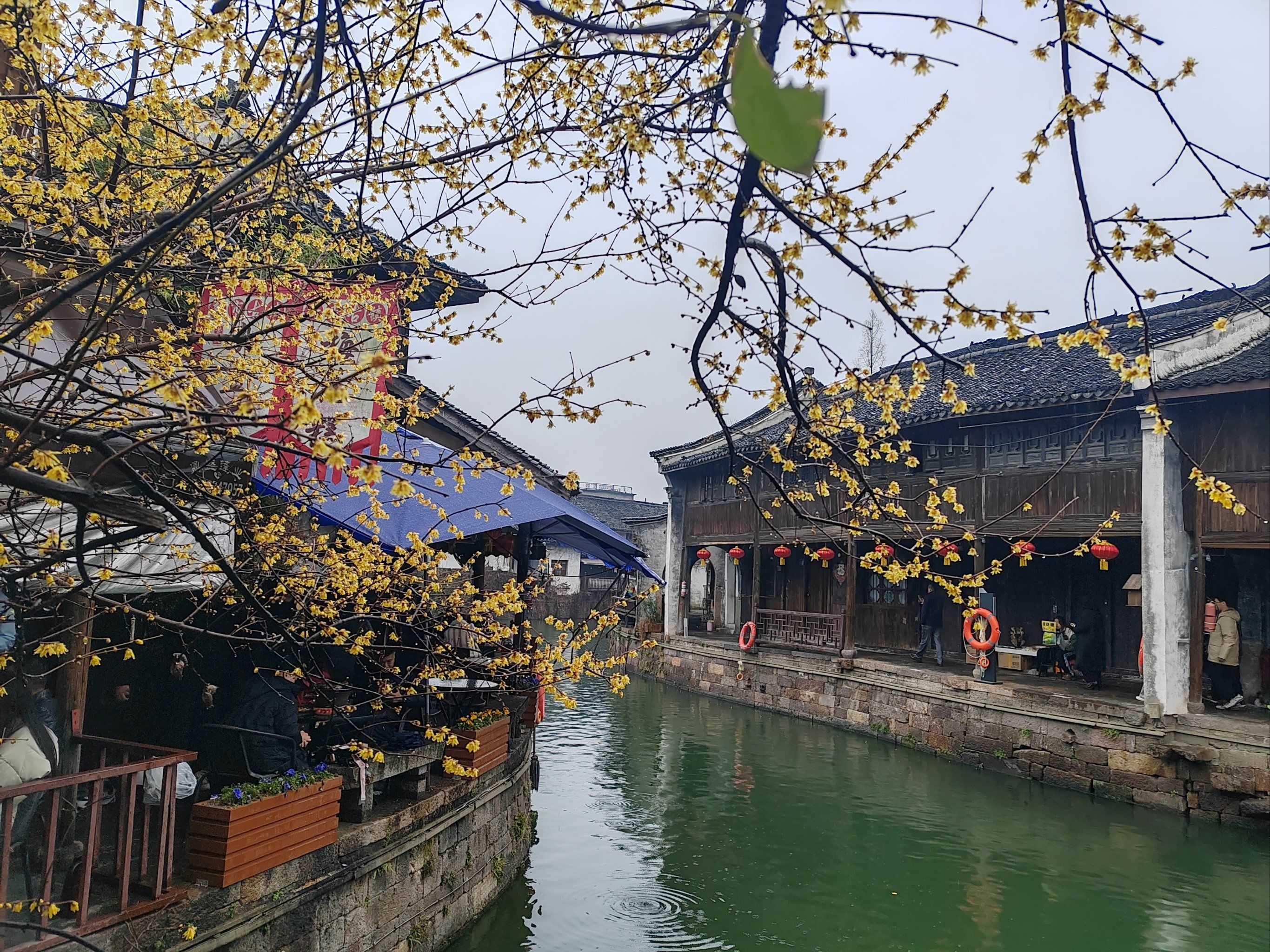 与你约茶:一场穿越千年的东方社交仪式