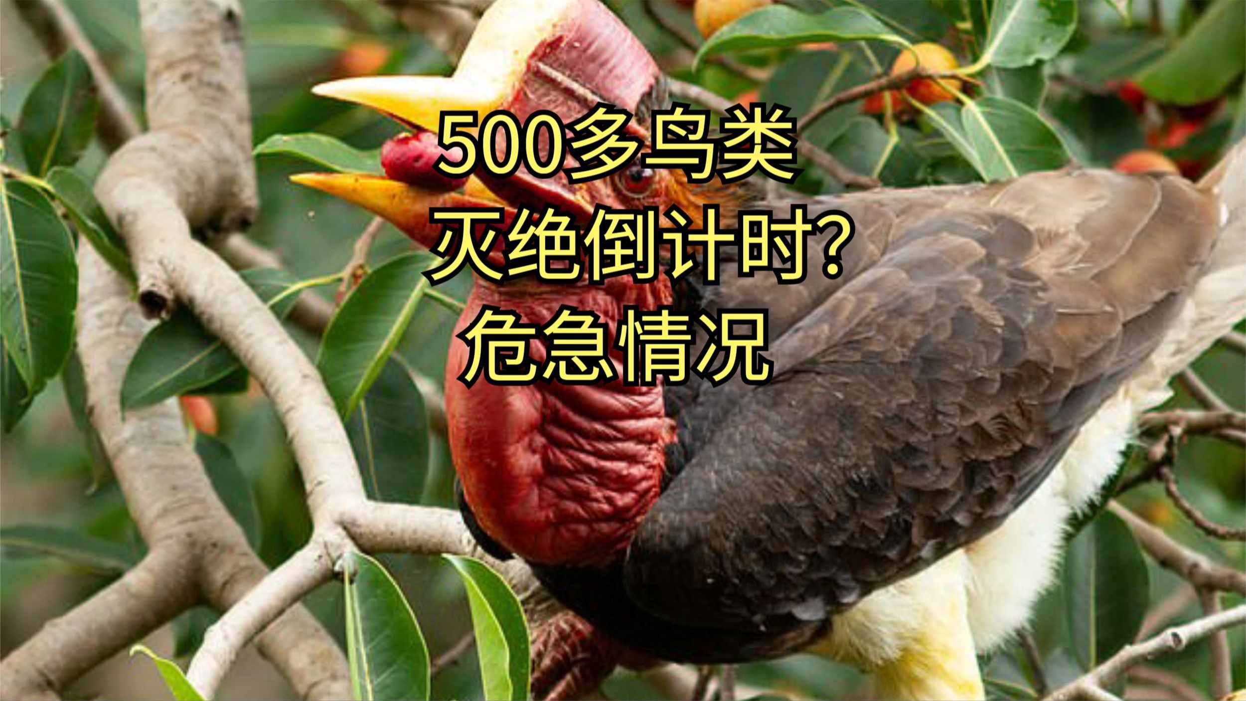 人工照明正在侵入动物的栖息地,会有什么影响?...