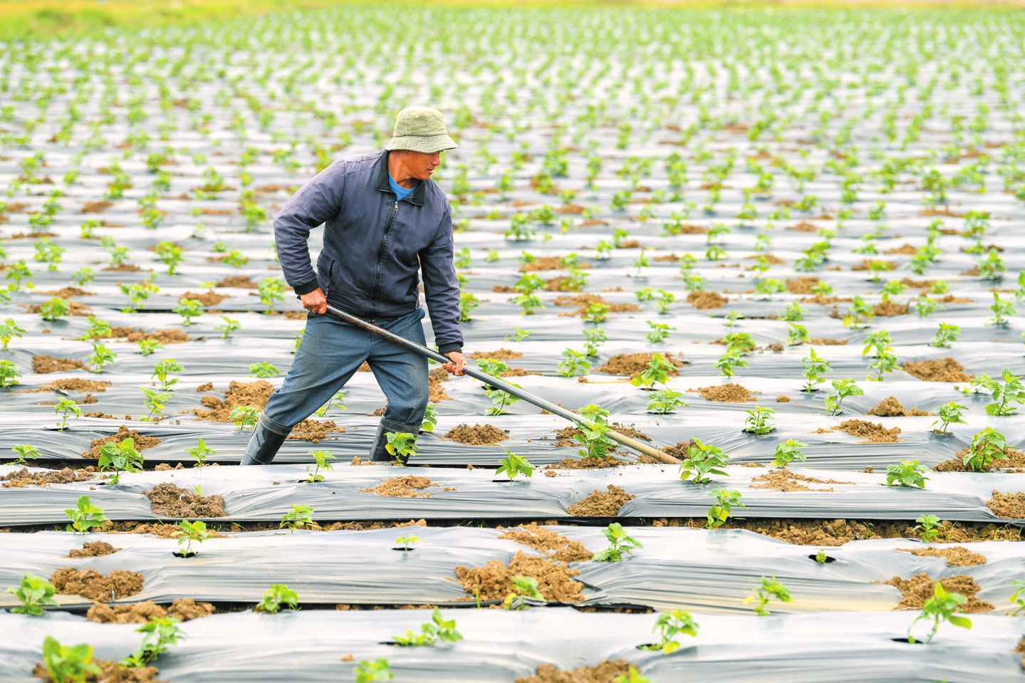 “吃瓜群众”,你有哪些不了解的西瓜旅行记?...