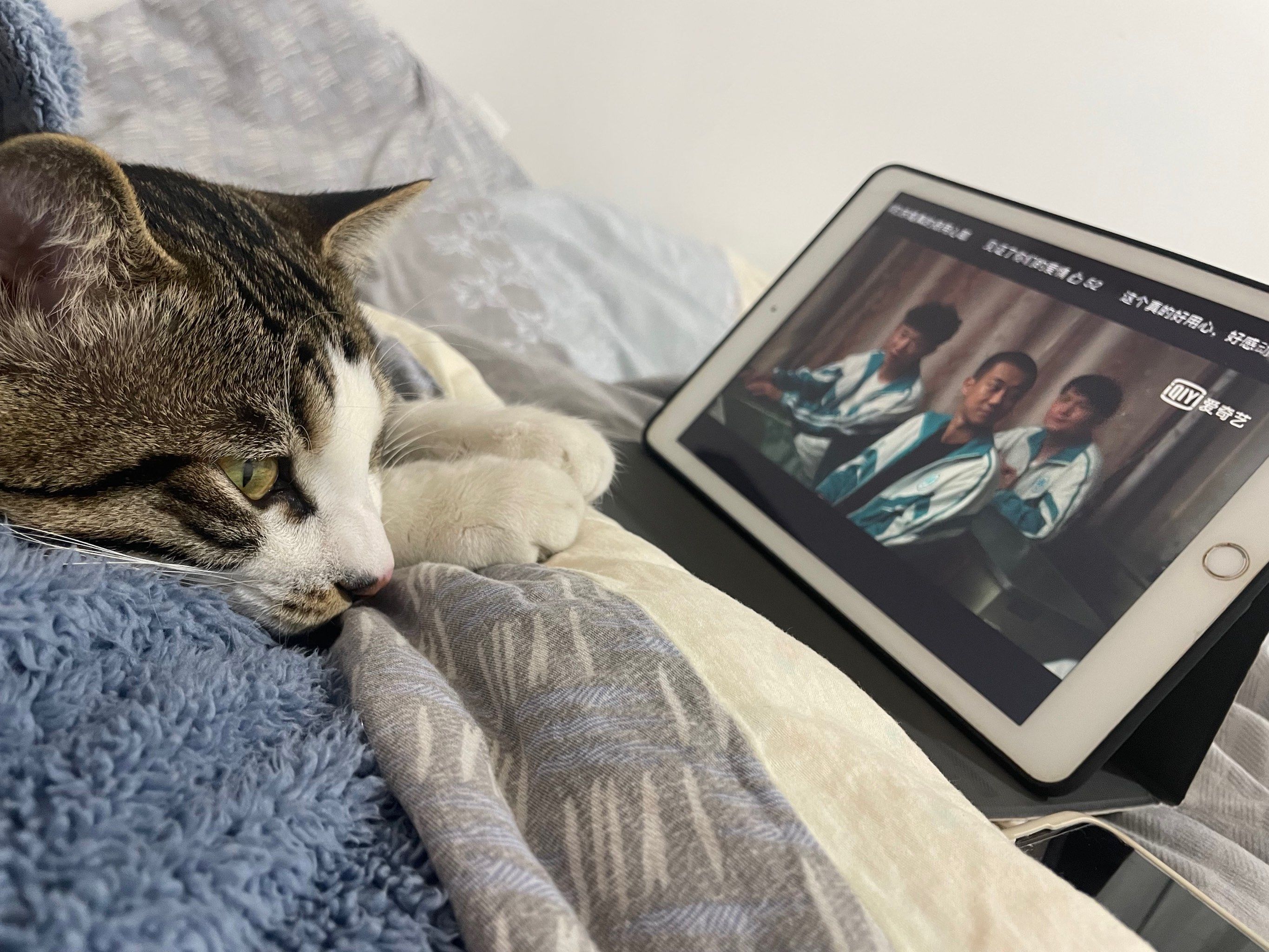 当代未解之谜:为什么无论怎么睡,白天还是那么困?...