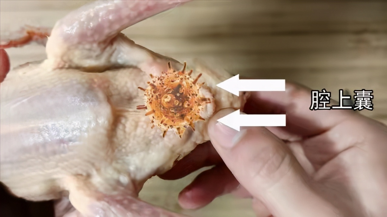 洗鸡肉真的会中毒吗 生鸡肉的安全隐患有哪些