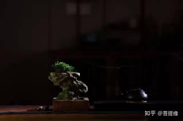 缺乏审美力的人,没有生活态度...