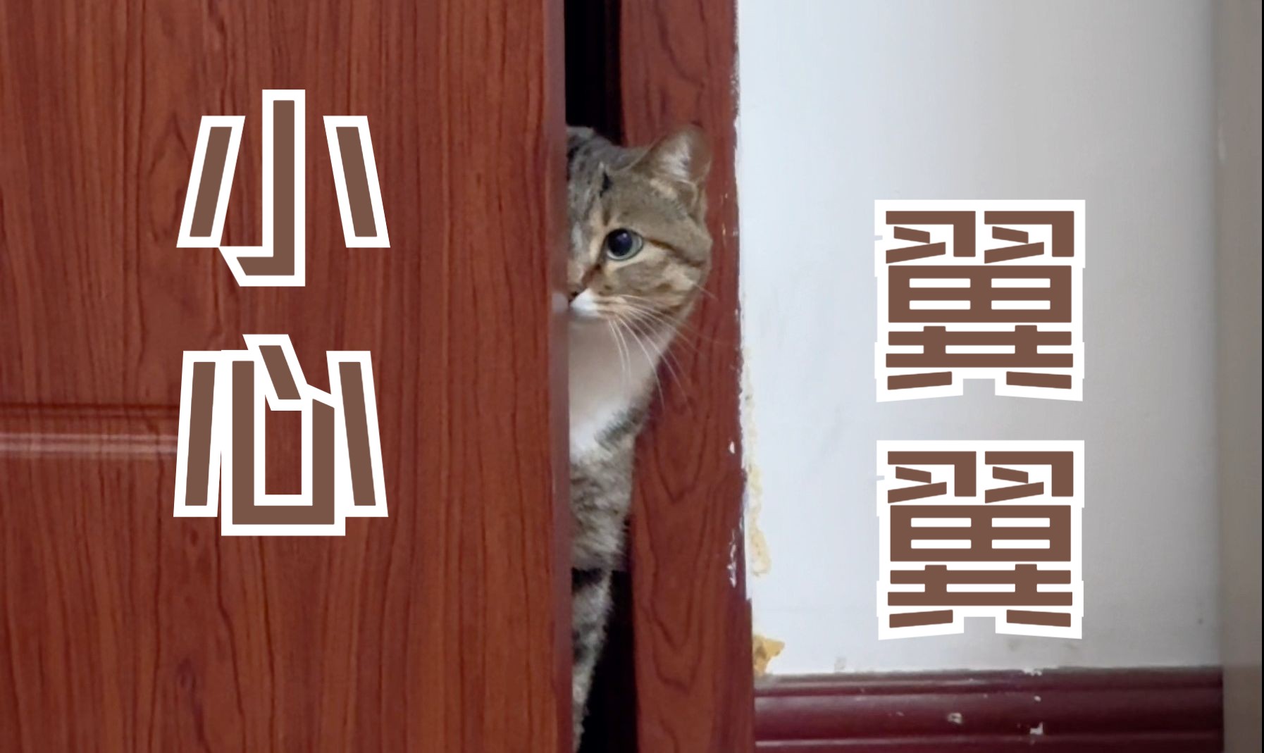 在互联网的世界,我们终将“老无所依”?...