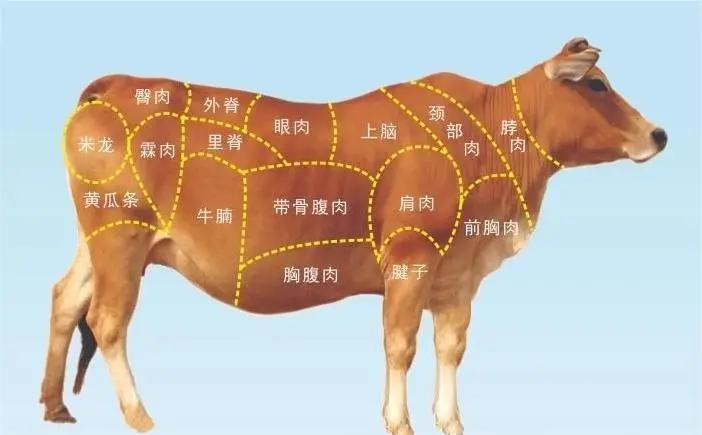 牛顿到底有多“牛”？...