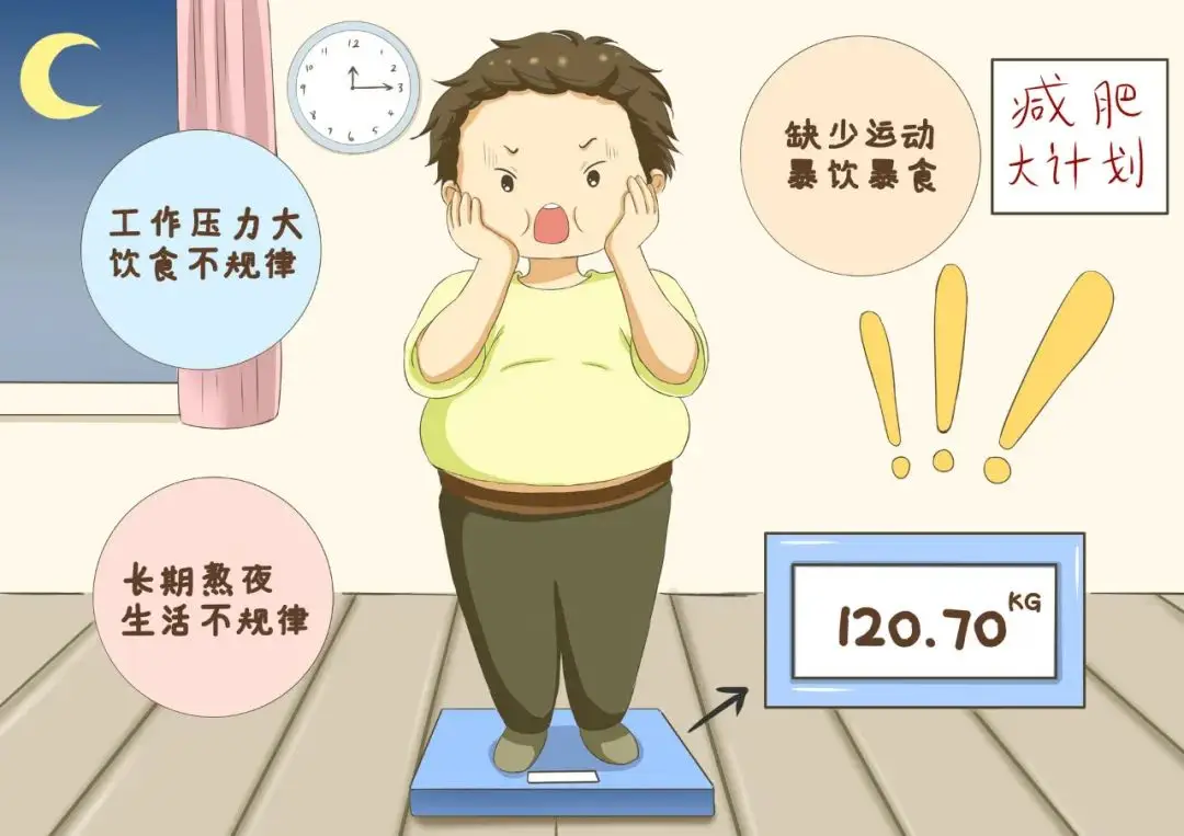 100快餐的时代密码,揭秘高效饮食的底层逻辑