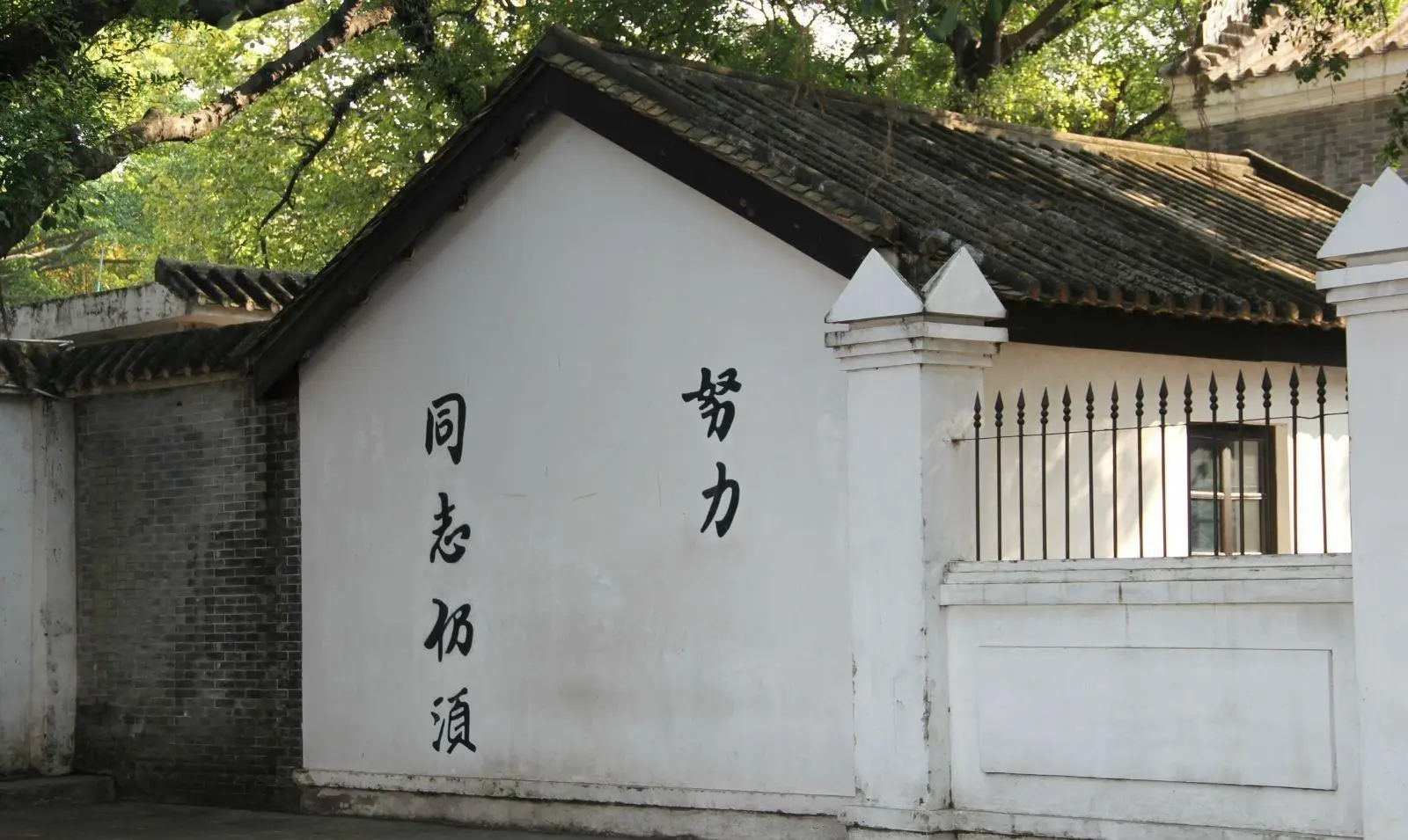 “两国将军”洪水传奇——中国唯一外籍将军？...